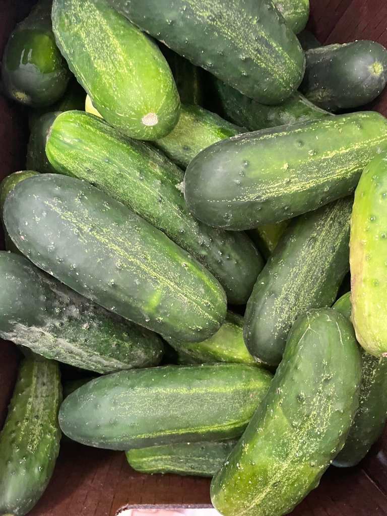 cucumbers from olive juice farms